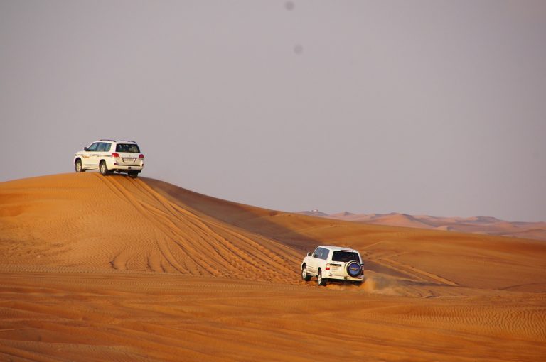 Capturing the Moment: Photography Tips for Your Desert Safari Dubai
