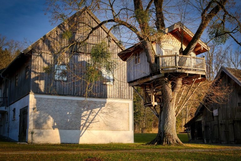 Crafting Dreams Amongst the Canopy: Exploring the World of Treehouse Builders